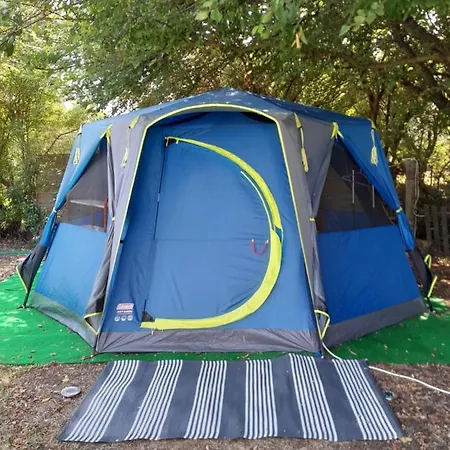 Menta Сasa de vacaciones Frínion
